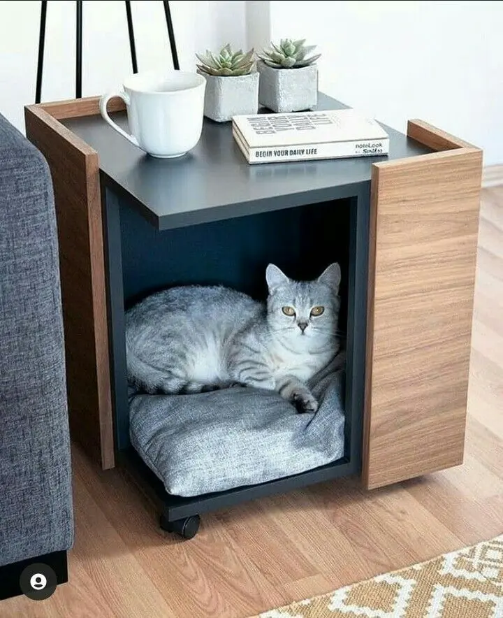 Cama oifice cat