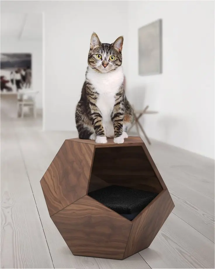 Cama gato moderno